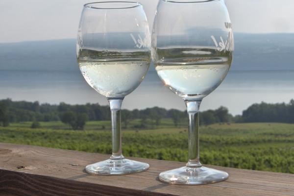 Beautiful views and wine tastings along Seneca Lake Wine Trail.
