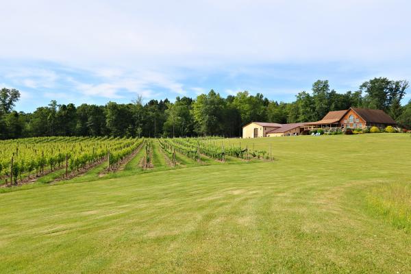 Buttonwood Grove Tasting Room and Vineyards