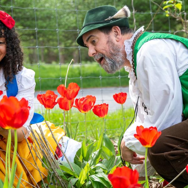 Two actors portraying Snow White and Dwarf Four look down at bright red tulips.