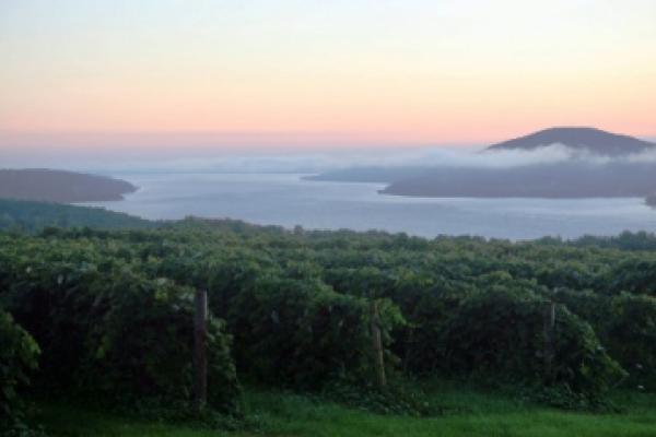 Scenic view of Canandaigua Lake surrounded by vineyards of the Canandaigua Wine Trail.