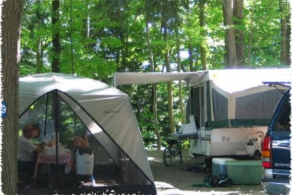 campers with awnings open