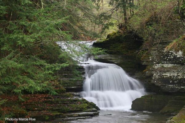 Experience the beauty of gorge waterfalls all along the Cayuga Lake Scenic Byway.
