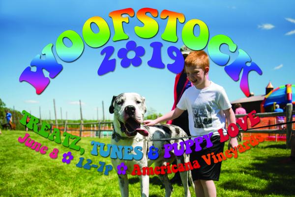 Woofstock 2019: Local Rescue & Shelter Benefit