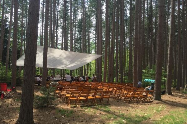 orchestra in the pines