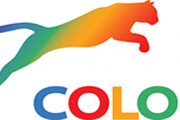 cat shaded in rainbow colors jumping over multicolored letters that spell out 'color'