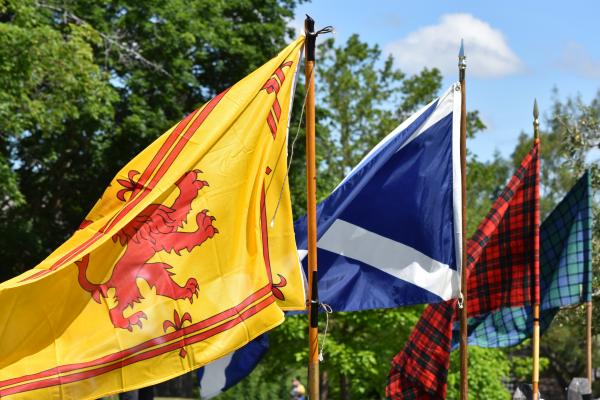 Scottish flags 