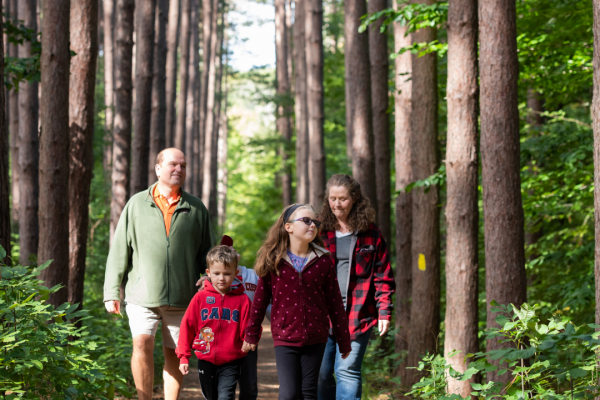 family walking in a forest