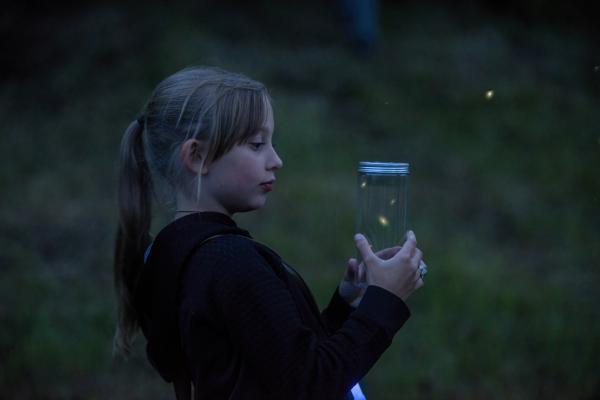 little girl looking at fireflies in a jar
