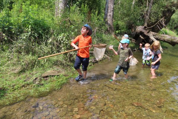 children wading in the creek