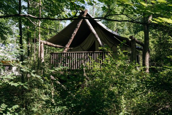 Rustic tent in trees