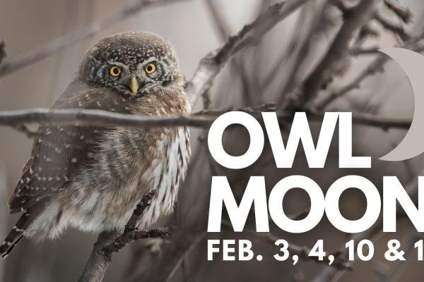 Visit Genesee Country Village & Museum on February 3, 4, 10, or 11 for the popular Owl Moon program!  