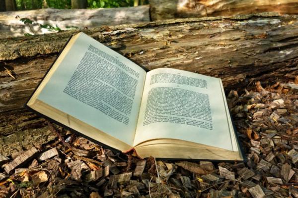 An open hardcover book that's leaning on a log and laying on woodchips.