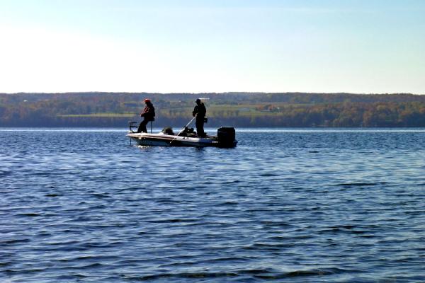 The origins of the many species of fish in Cayuga Lake