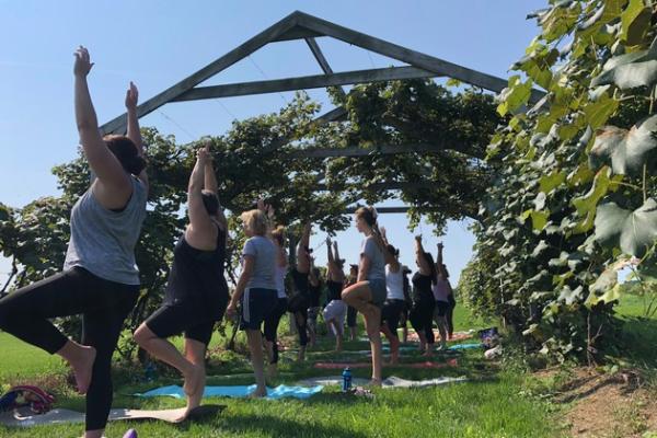 A day of Yoga in the beautiful, lush, and serene vineyards at Hunt Country.