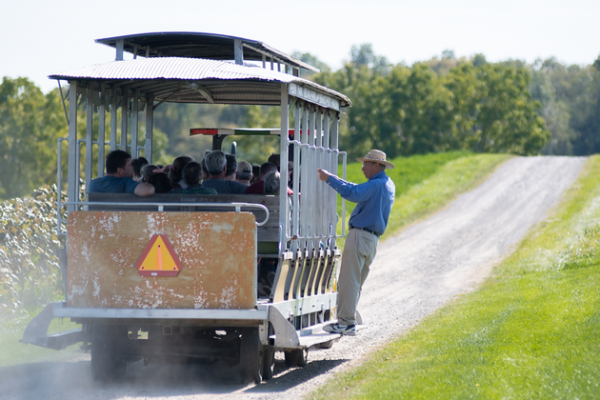 Visitors ride the replica electric trolley on a tour through the vineyards with Art Hunt, co-owner and co-founder.