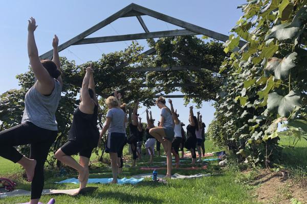 Yoga under Hunt Country's Arbor