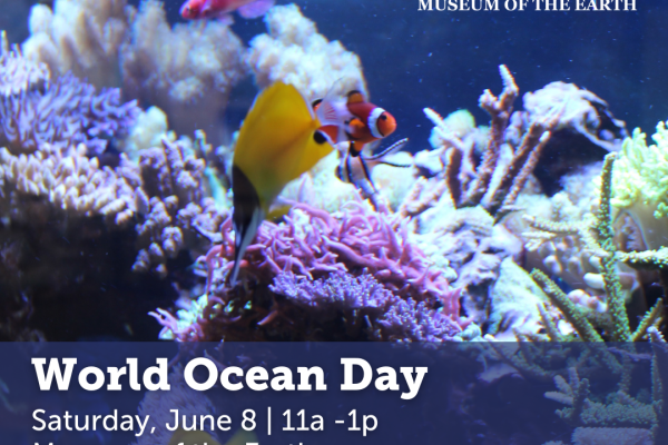 World Ocean Day at Museum of the Earth
