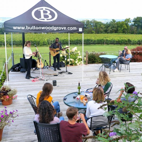 Lub Dub Acoustic Duo at Buttonwood Grove