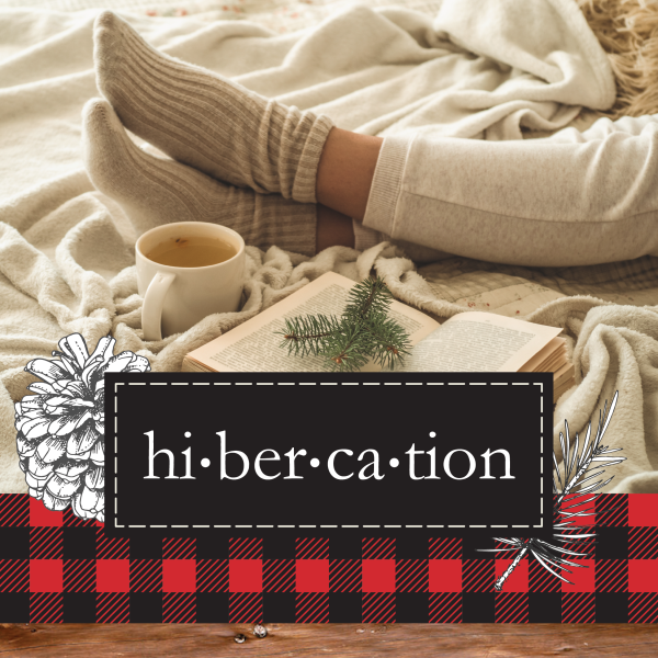 Hibercation logo with cozy socks