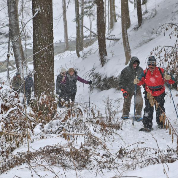 winter hike at Buttonwood Grove