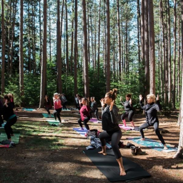 Yogis in the red pines at Cumming Nature Center