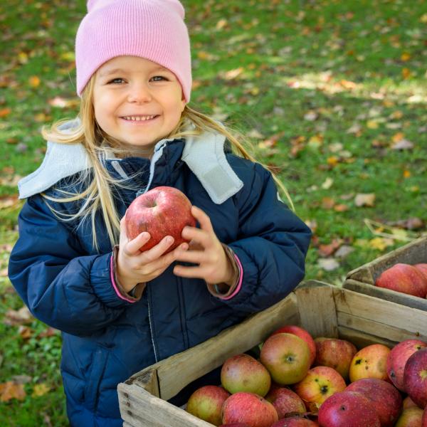 Girl holding apple at Apples Apples Apples! event 