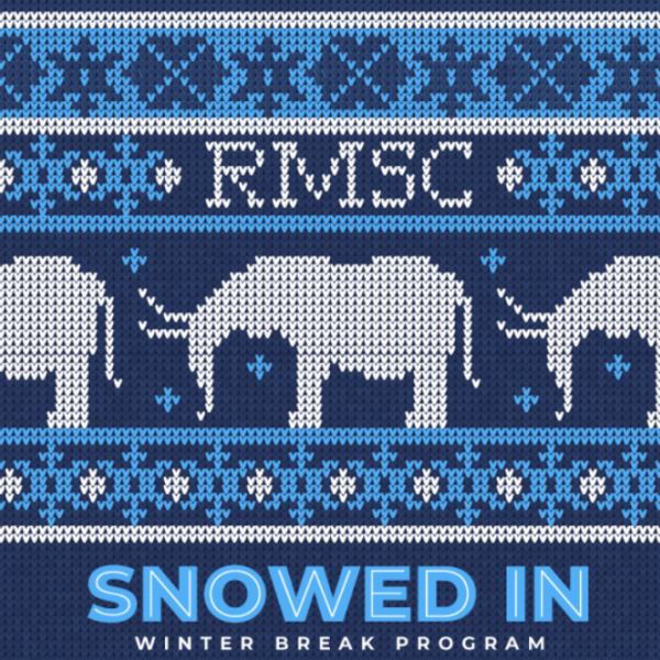 The background is reminiscent of a holiday sweater pattern. The colors are white, dark blue, and light blue. RMSC is stitched in white with white stitched mastodons underneath. At the bottom of the picture are the words Snowed In Winter Break Program.