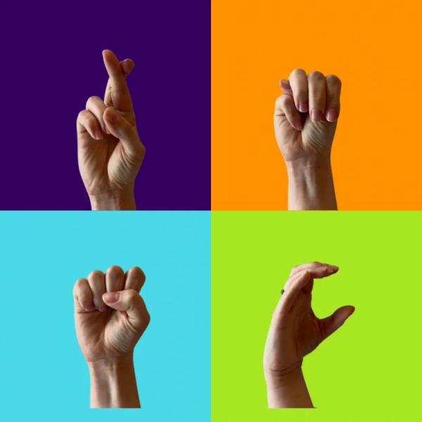 One box, divided into four sections of purple, orange, blue, and green. In each section is a hand making a letter in the ASL alphabet and it spells out RMSC.
