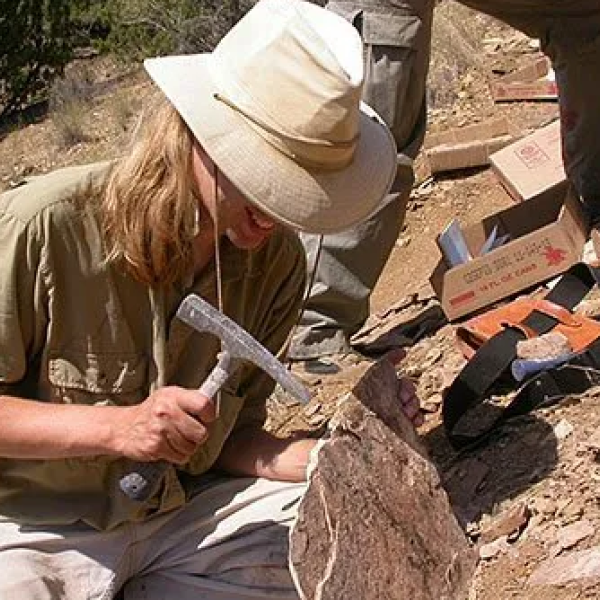 A paleontologist chipping away at a rock, her large brimmed hat hides her face.