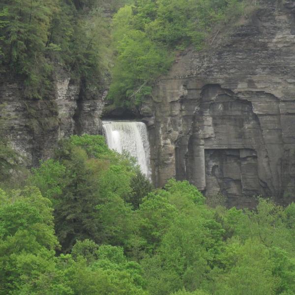 A peek of Taughannock Falls from the South Rim Trail