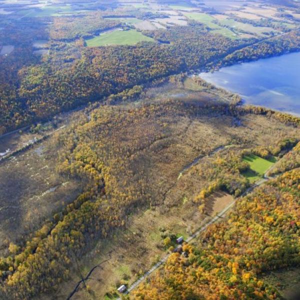 Aerial view of Owasco Flats at the south end of Owasco Lake. By Bill Hecht.