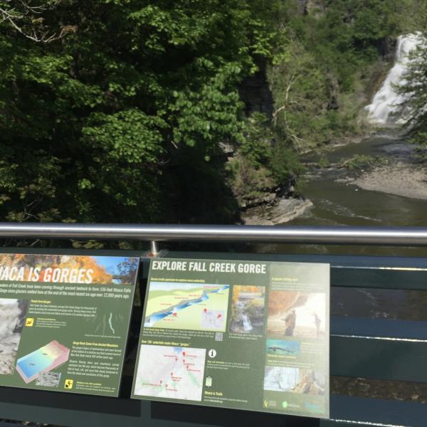 Interpretive exhibits about Fall Creek and Ithaca Falls on bridge