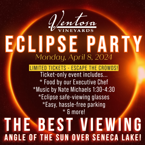 Eclipse party