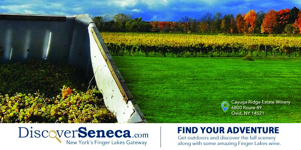 Discover Seneca County