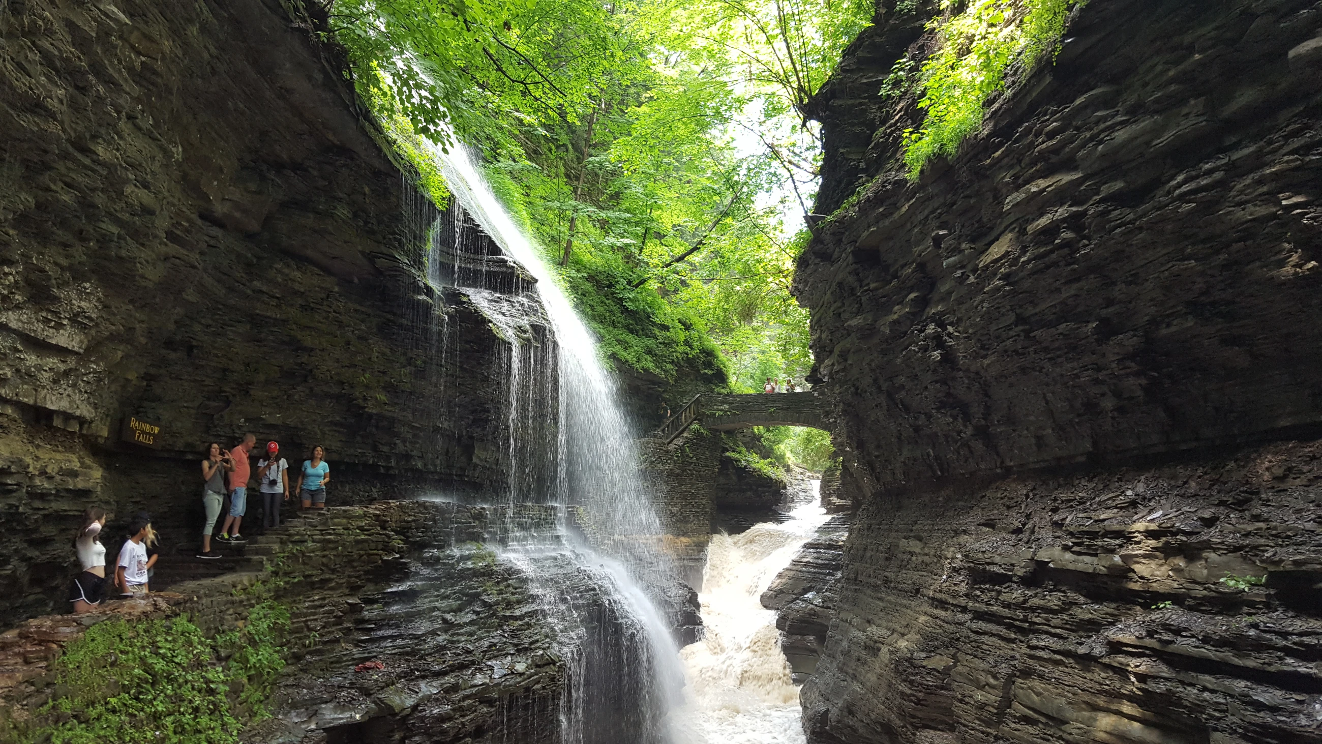 【希少ケーブルニット】GIANNI VERSACE ボーダー マルチカラー 44 中古・古着通販】GIANNI VERSACE (ジャンニ・ヴェルサーチ) ニット