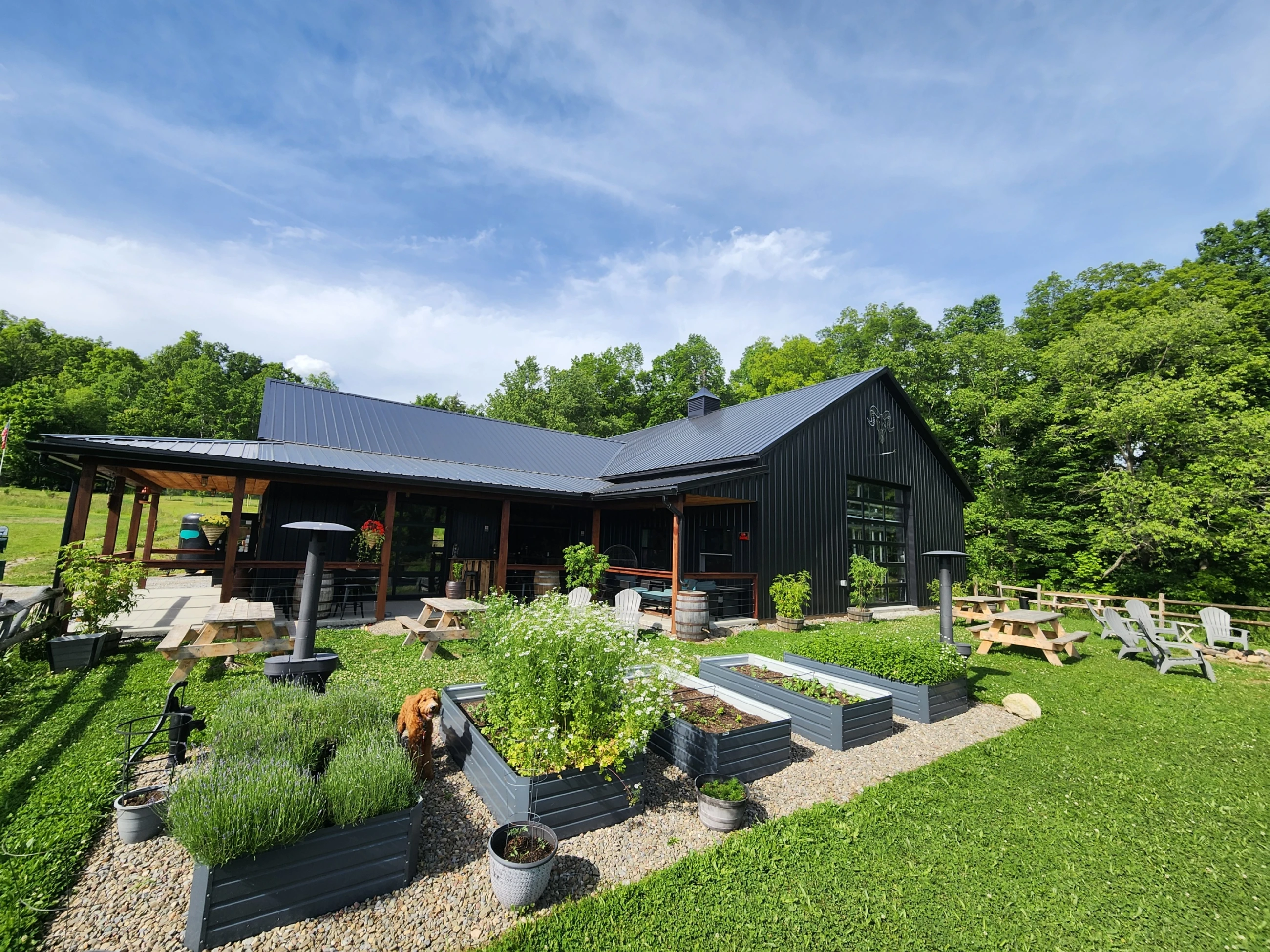 Black Sheep Distillery | Finger Lakes Tourism Alliance